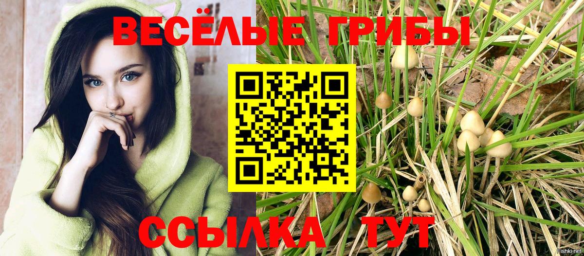 Псилоцибиновые грибы мицелий Усинск